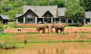Отель African Hills Safari Lodge & Spa  Магалисбург